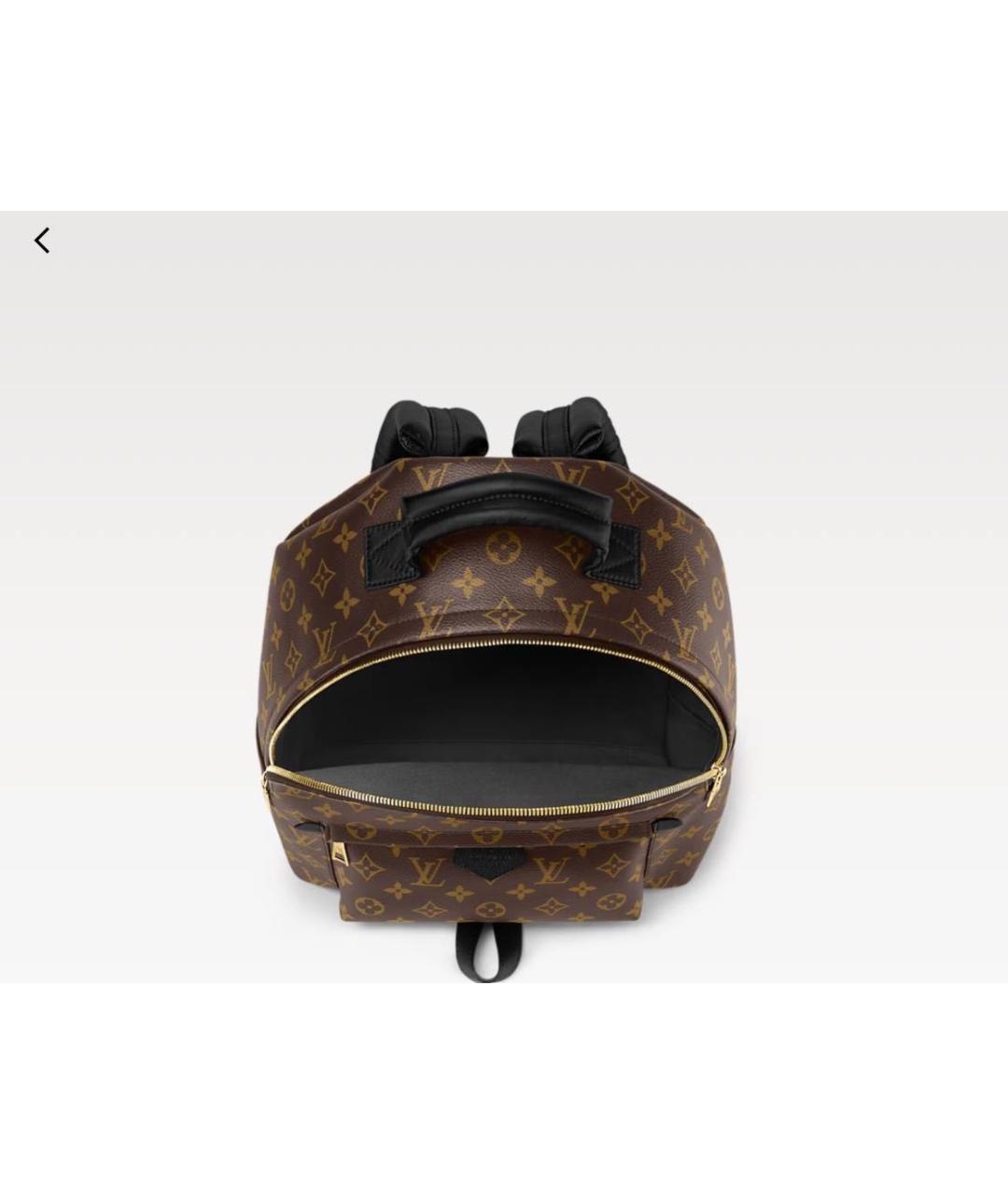 LOUIS VUITTON Коричневый рюкзак, фото 3