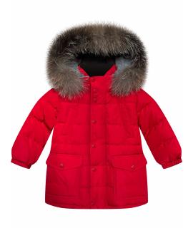 MONCLER Верхняя одежда