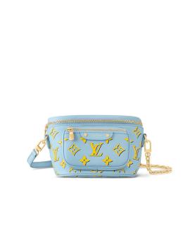 LOUIS VUITTON Поясная сумка