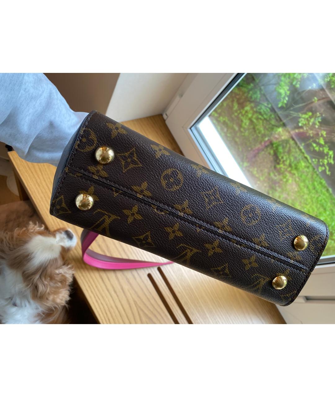 LOUIS VUITTON Сумка через плечо, фото 5