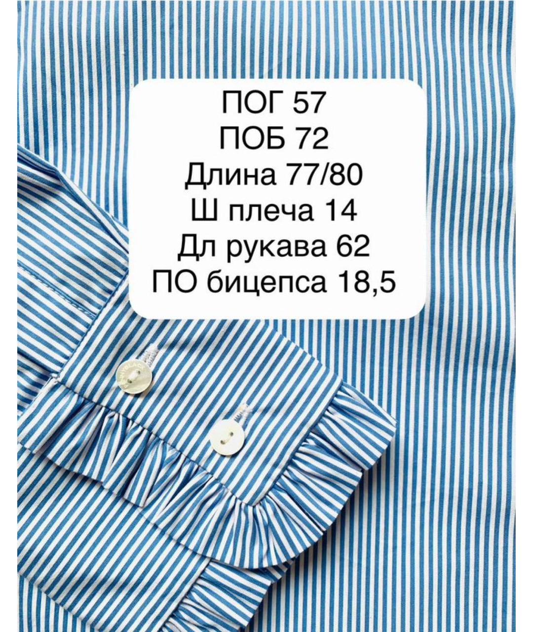 MAX MARA Голубая хлопковая блузы, фото 5