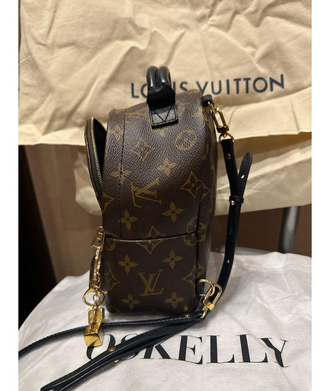 LOUIS VUITTON Коричневый рюкзак, фото 2