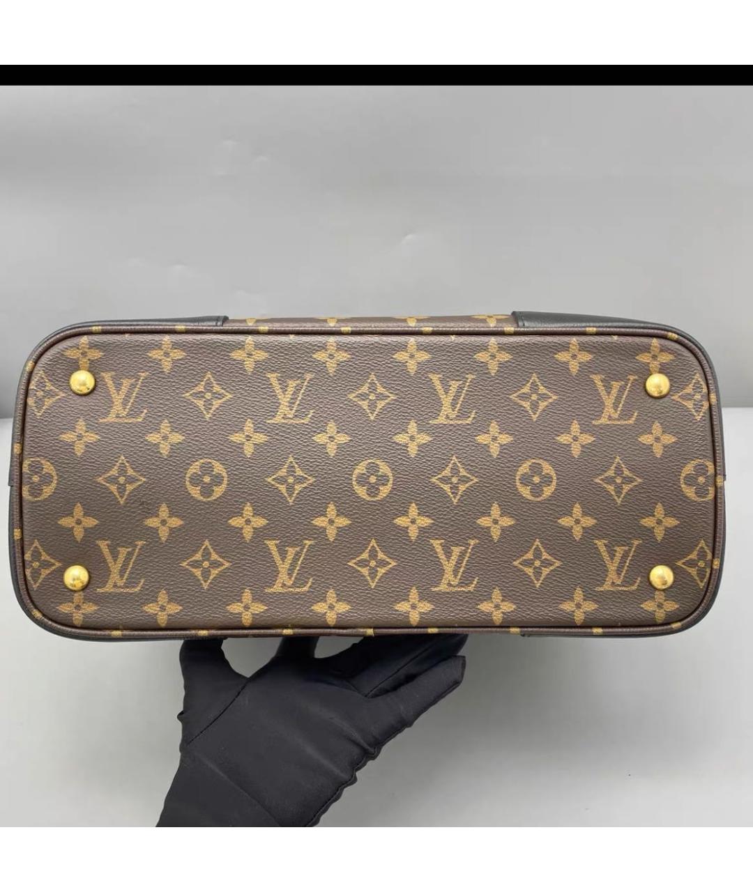 LOUIS VUITTON Коричневая сумка тоут, фото 4