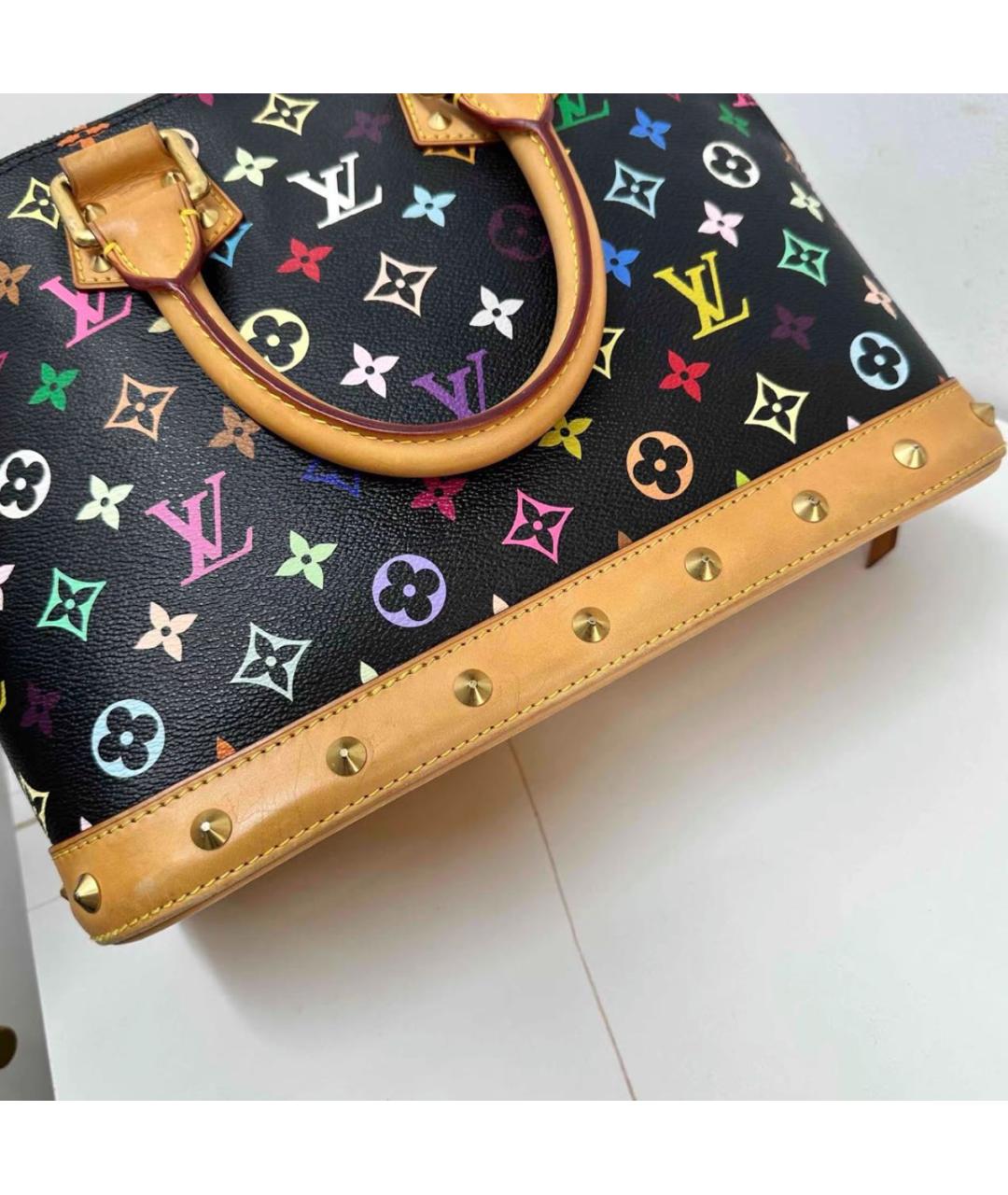 LOUIS VUITTON Мульти сумка с короткими ручками, фото 5