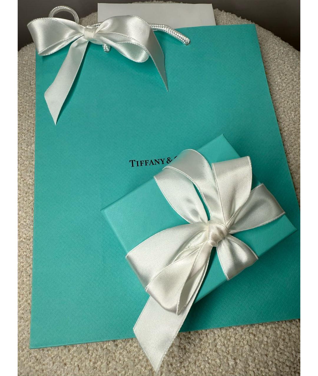 TIFFANY&CO Серебряные серебряные серьги, фото 6
