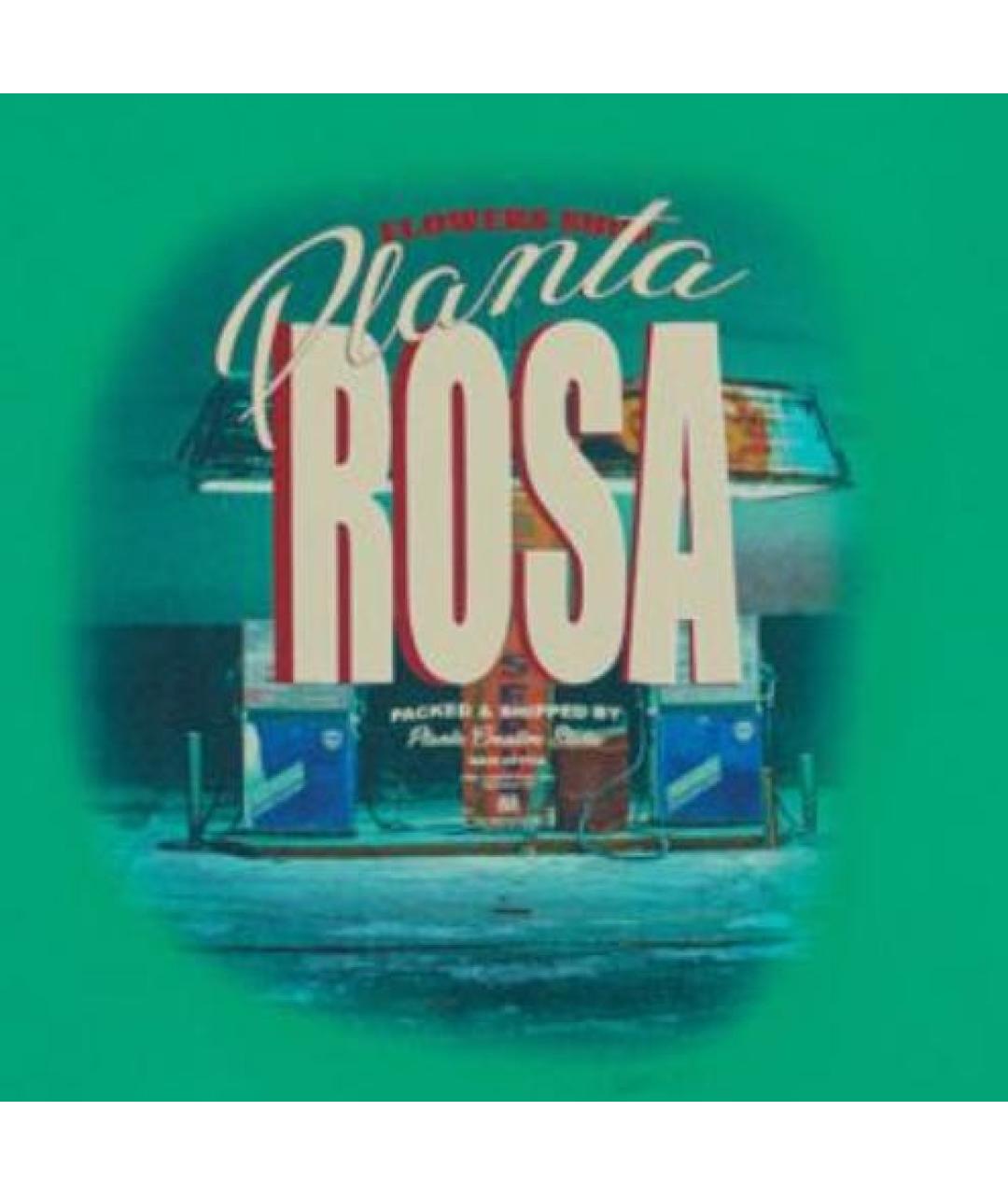 PLANTA ROSA Зеленая хлопковая футболка, фото 3