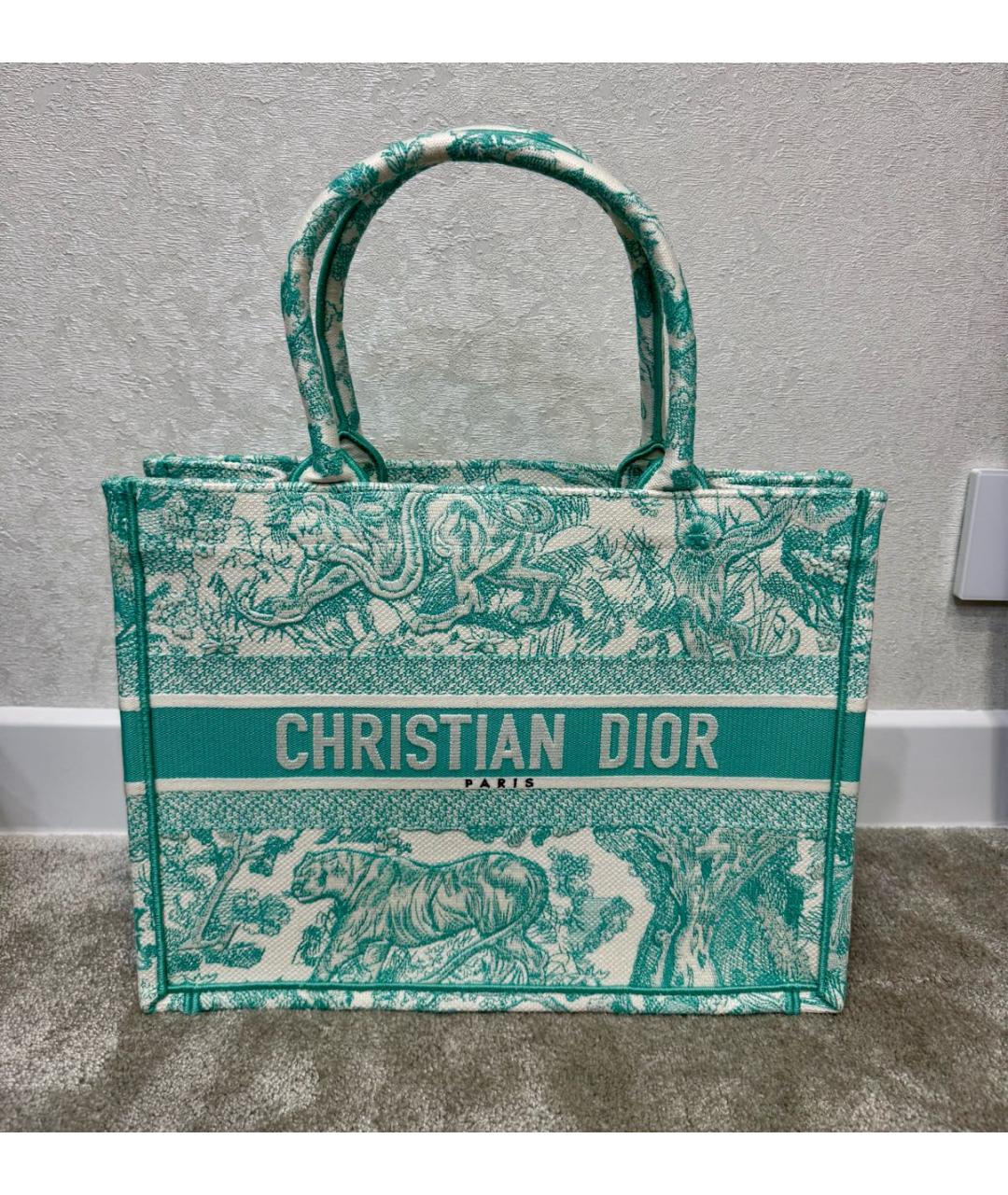CHRISTIAN DIOR Зеленая тканевая сумка тоут, фото 2