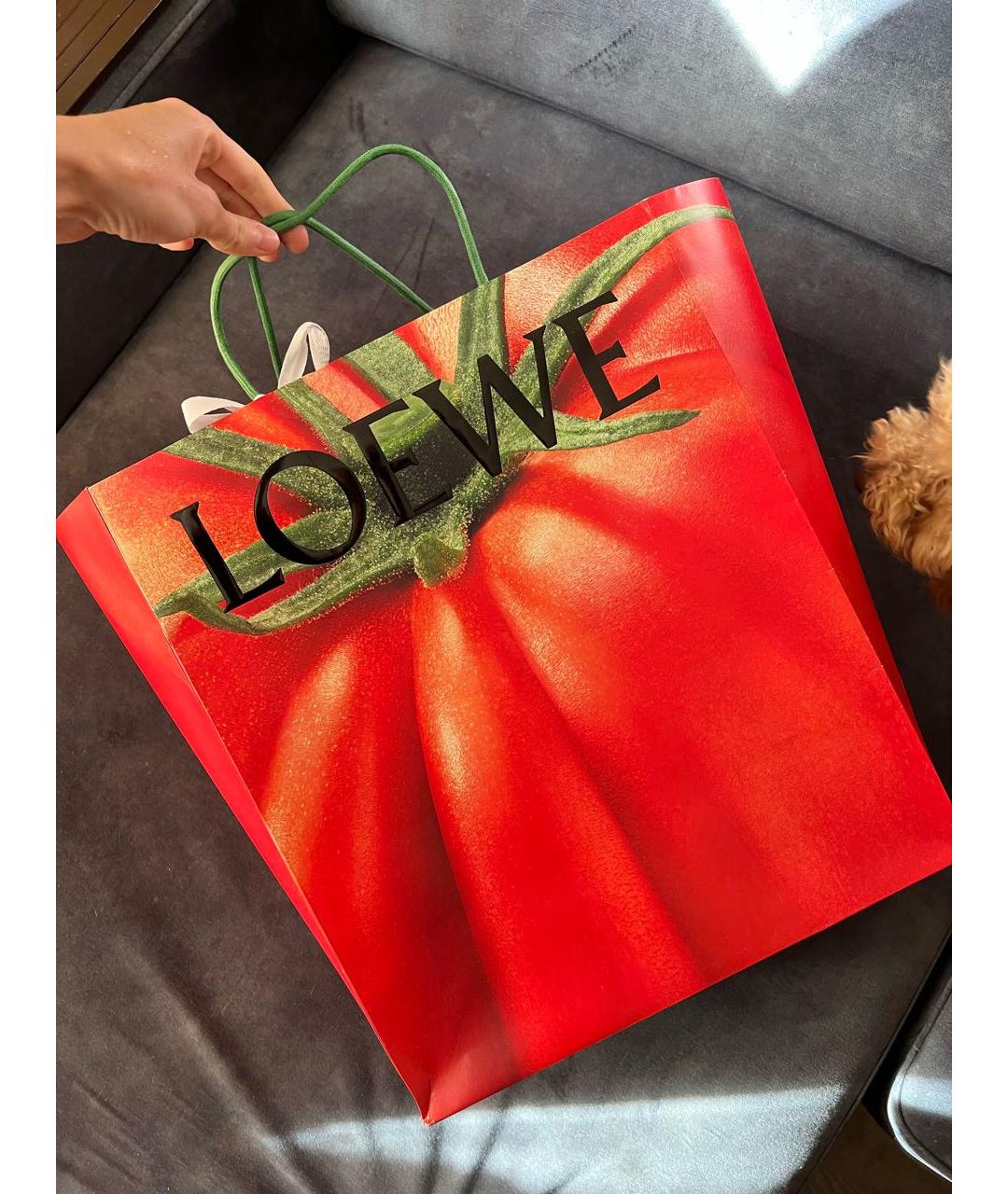LOEWE Бежевые кожаные кроссовки, фото 5