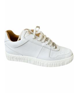 PHILIPP PLEIN Кеды