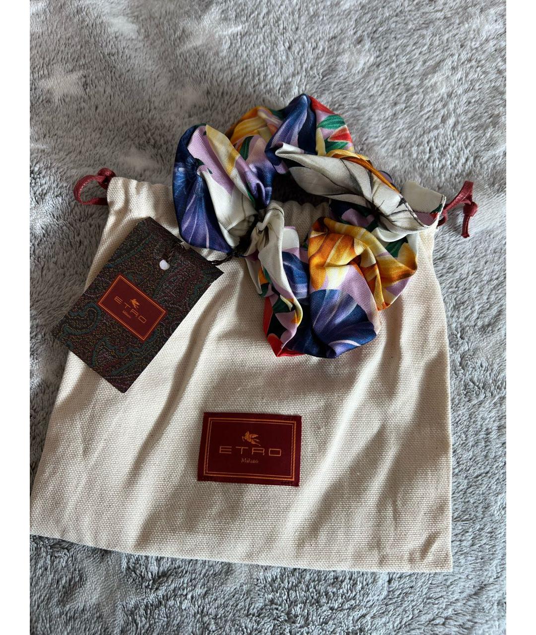 ETRO Мульти резинка, фото 5