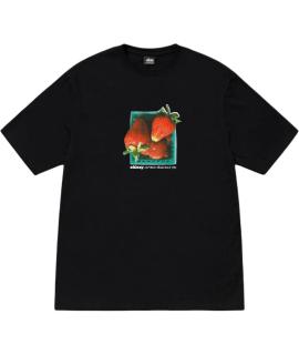 STUSSY Футболка