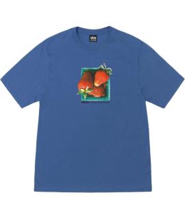 STUSSY Футболка