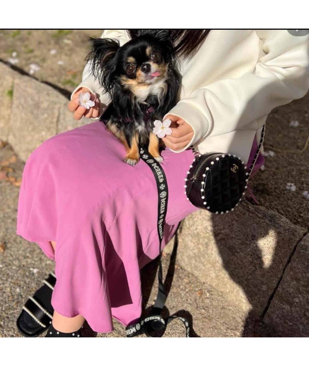 CHANEL Сумка через плечо, фото 2