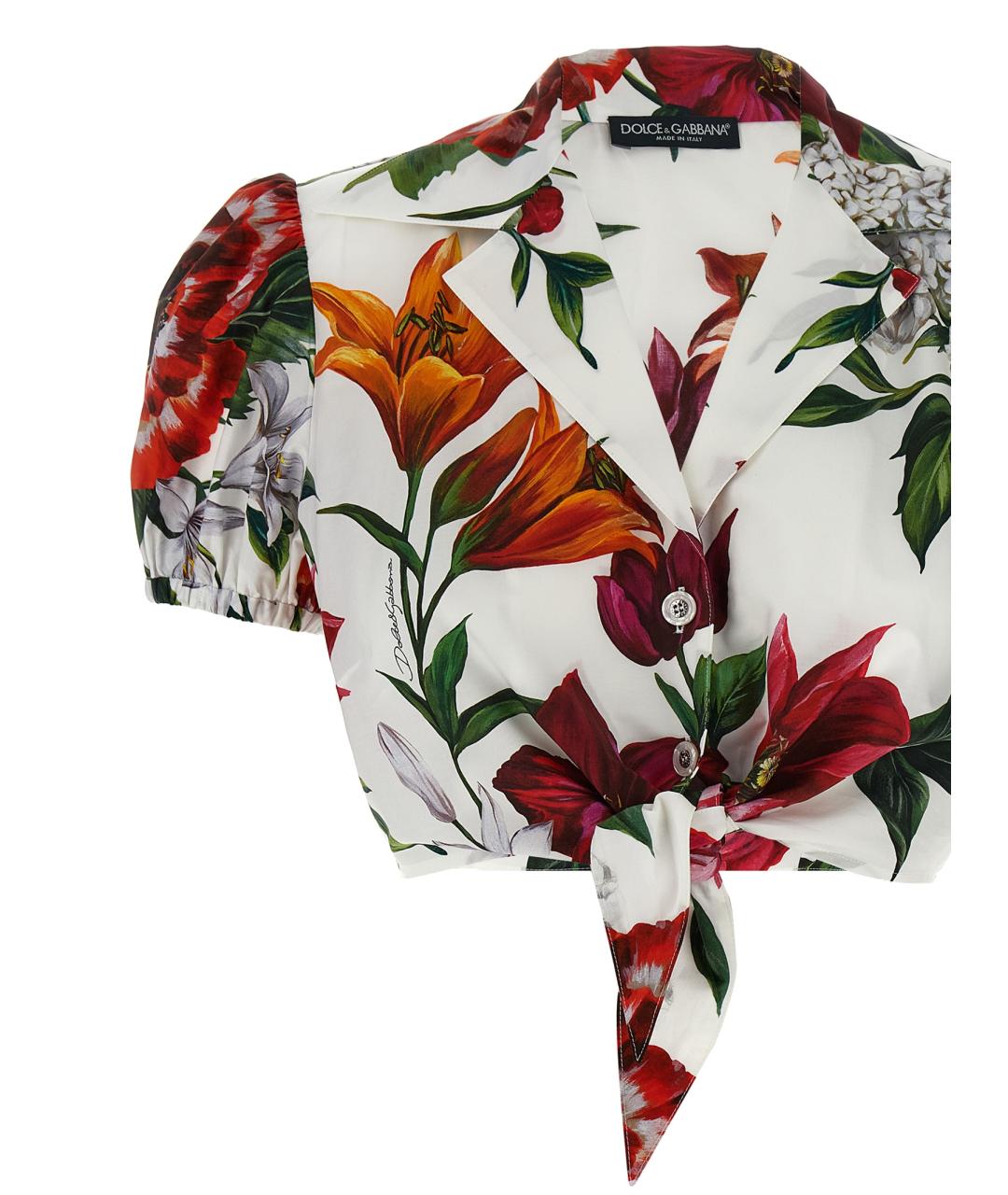 DOLCE&GABBANA Мульти хлопковая блузы, фото 3