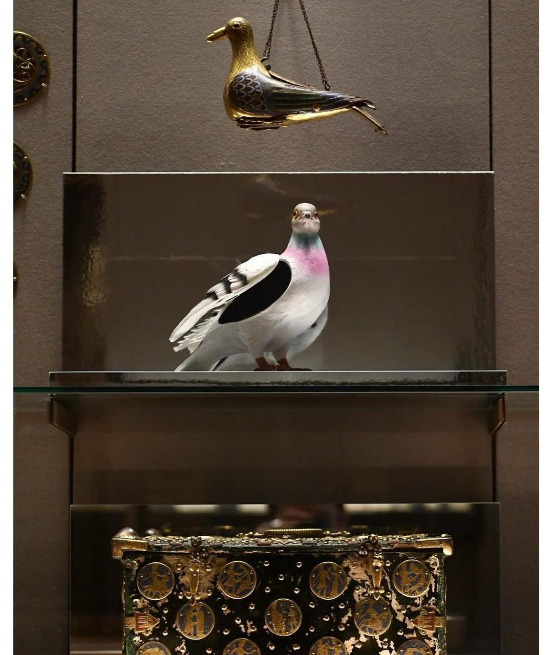 Изображение продукта