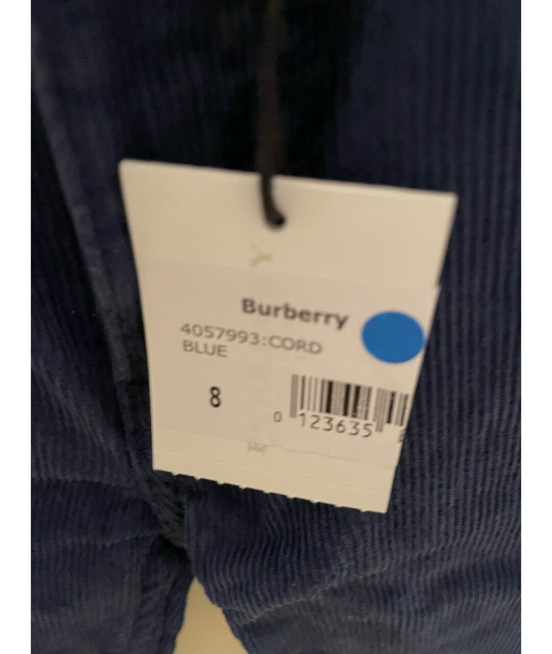 BURBERRY Синие брюки и шорты, фото 4