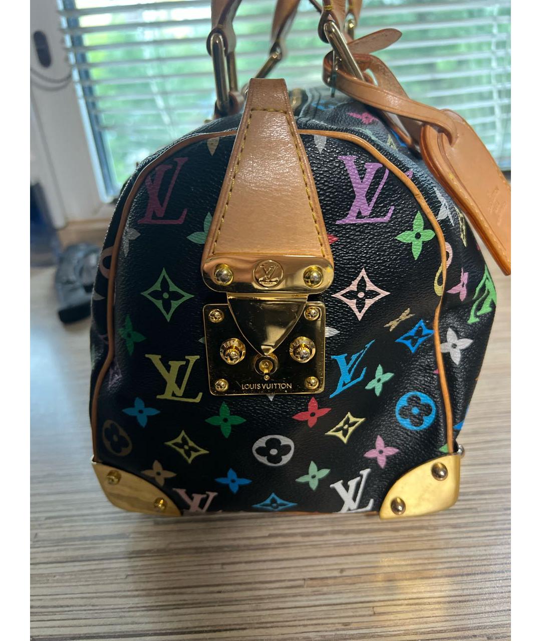 LOUIS VUITTON Мульти кожаная сумка с короткими ручками, фото 3