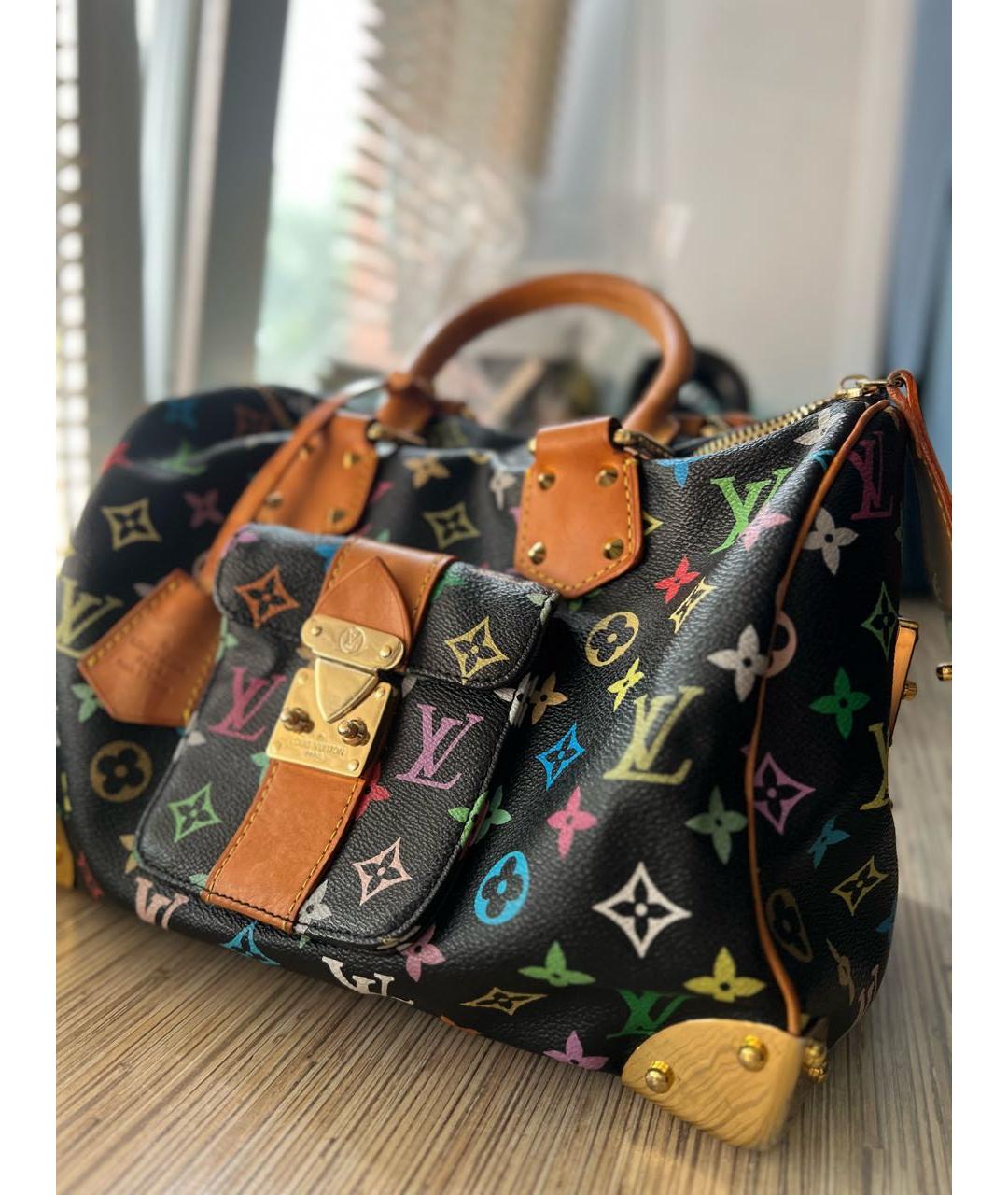 LOUIS VUITTON Мульти кожаная сумка с короткими ручками, фото 2