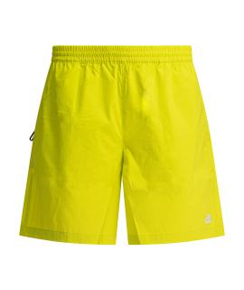 THE NORTH FACE Шорты