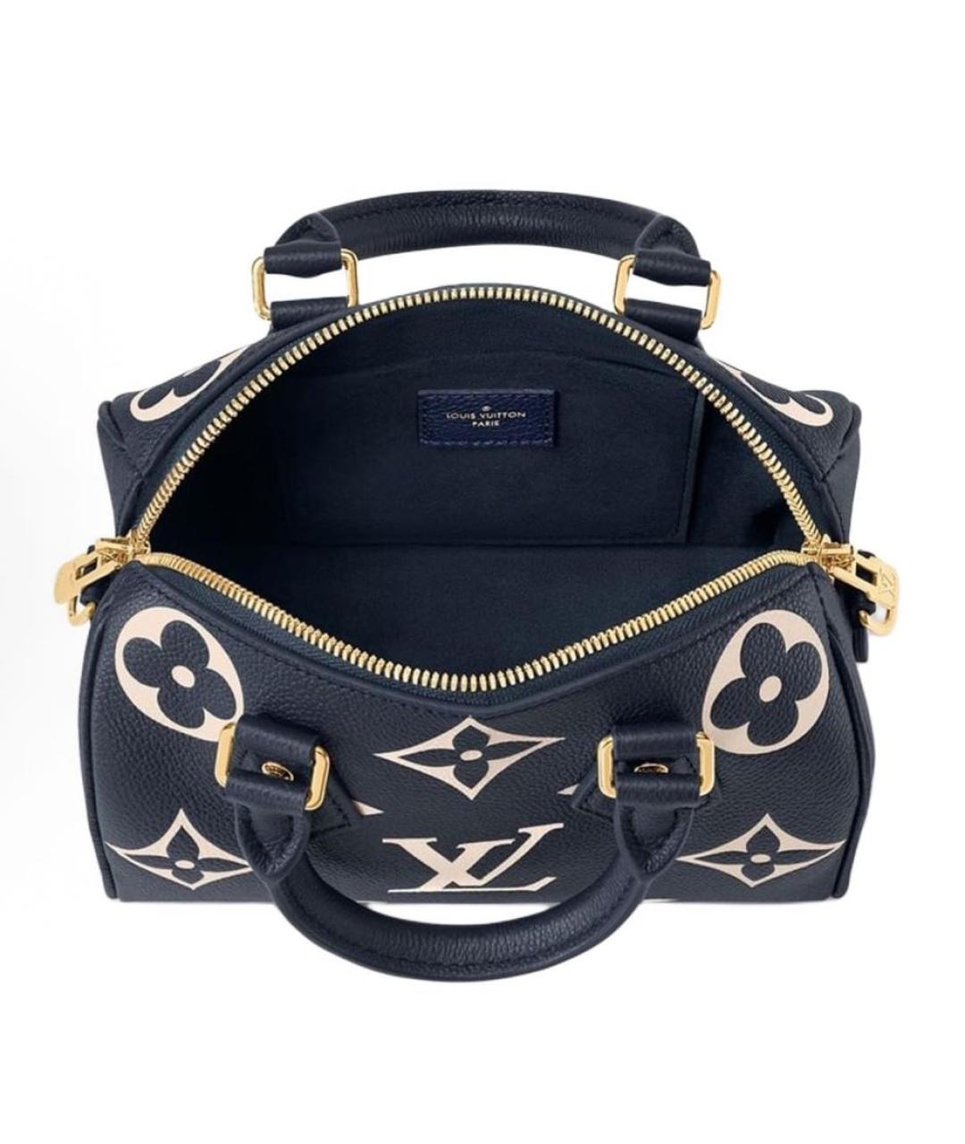 LOUIS VUITTON Сумка с короткими ручками, фото 3