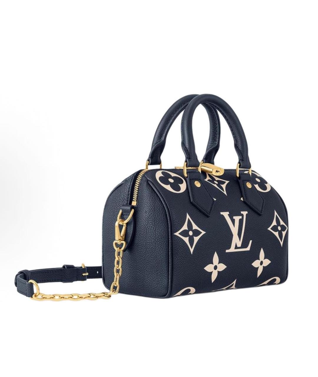 LOUIS VUITTON Сумка с короткими ручками, фото 2