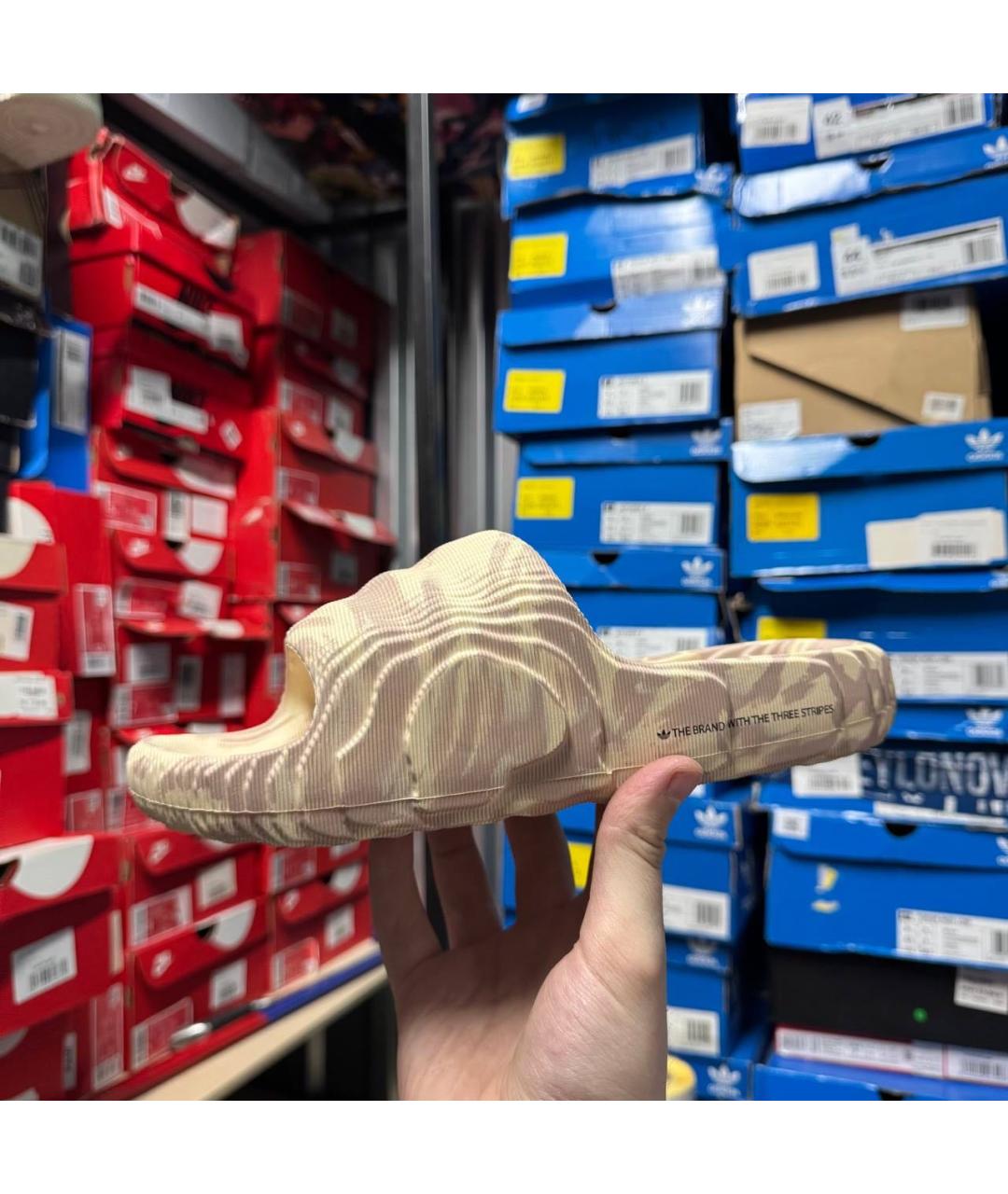 ADIDAS Бежевые шлепанцы, фото 3