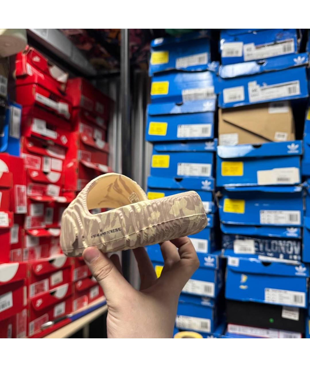 ADIDAS Бежевые шлепанцы, фото 7