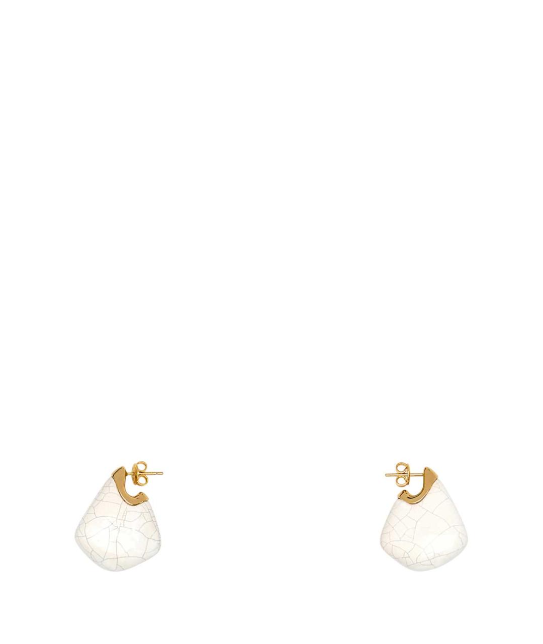 BOTTEGA VENETA Мульти серьги, фото 1