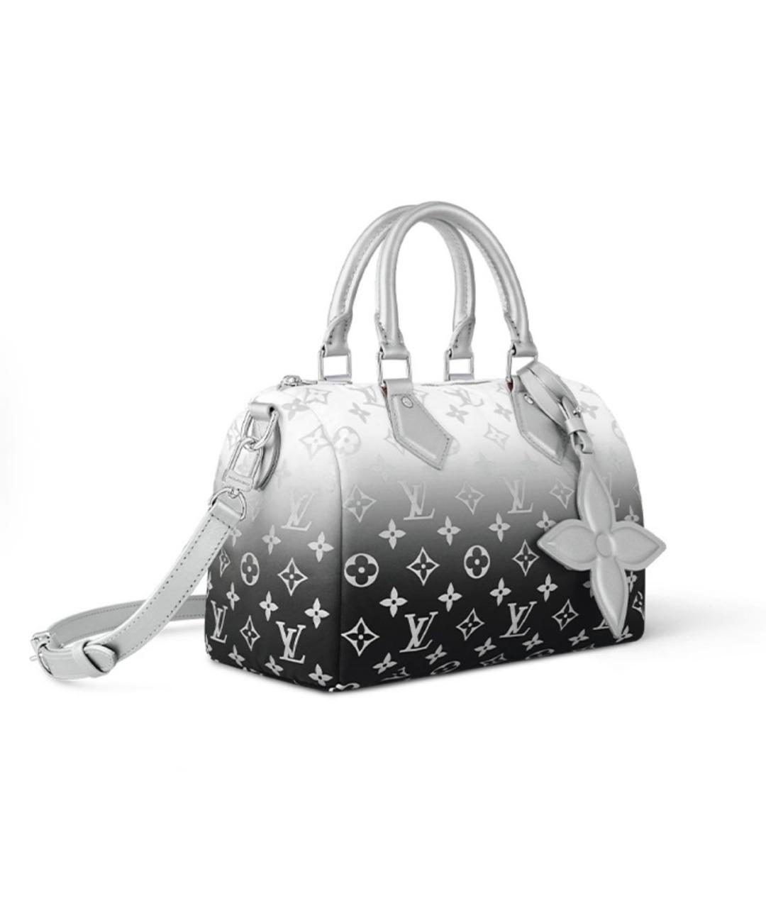 LOUIS VUITTON Сумка с короткими ручками, фото 5