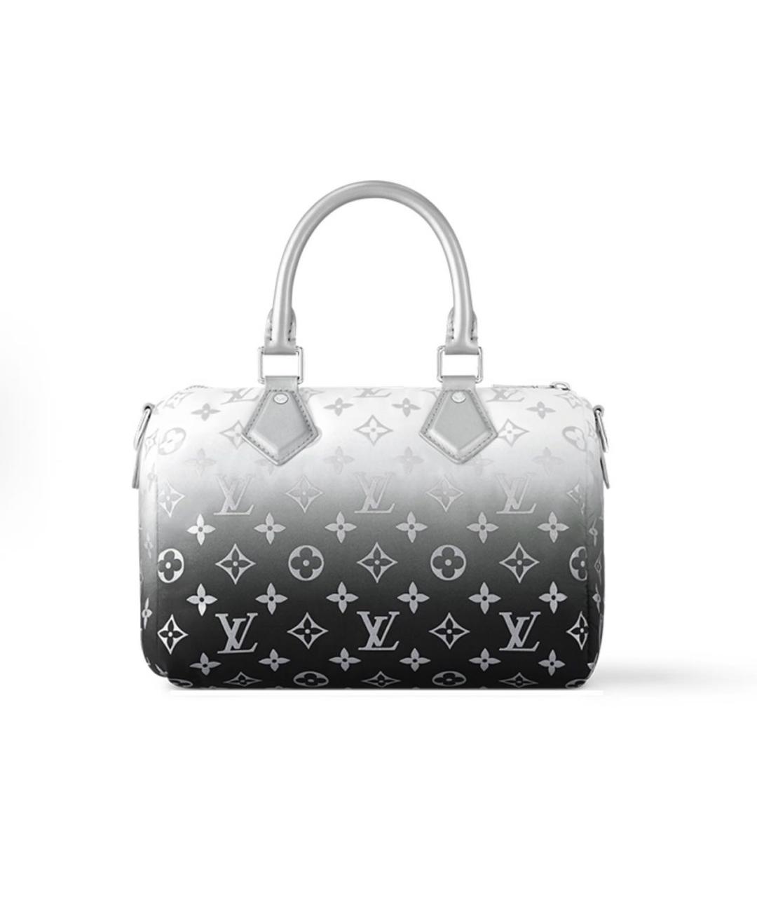 LOUIS VUITTON Сумка с короткими ручками, фото 2