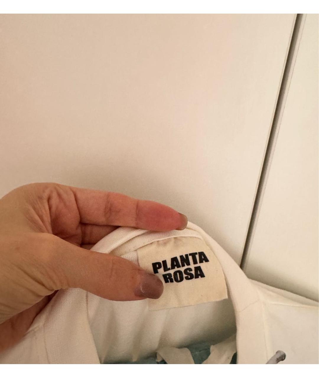PLANTA ROSA Белая хлопковая футболка, фото 4