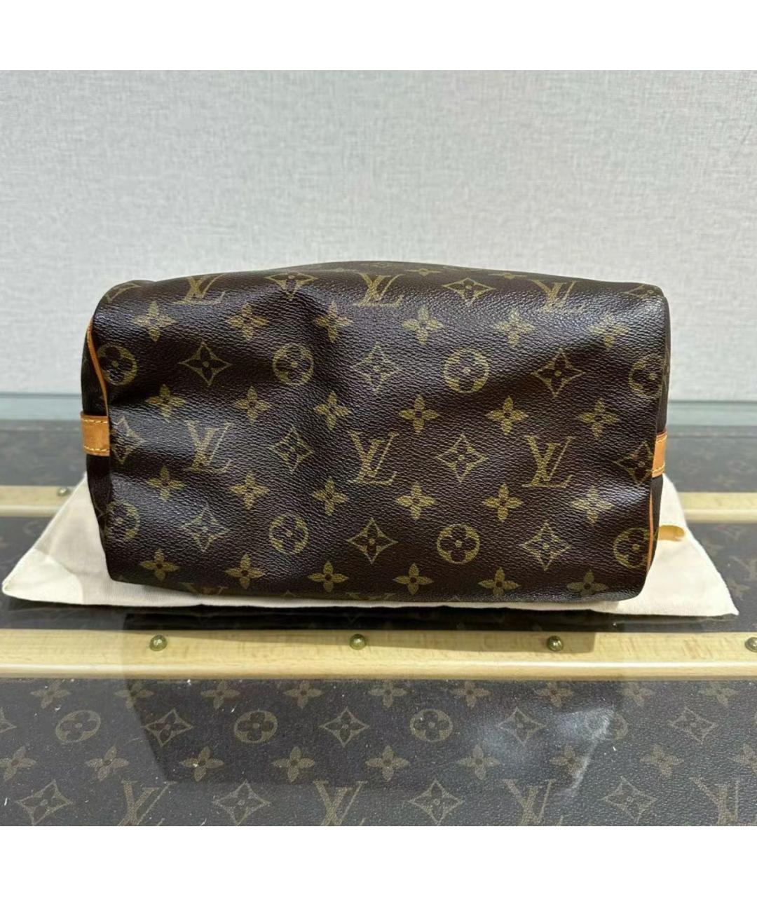 LOUIS VUITTON Коричневая кожаная сумка тоут, фото 5
