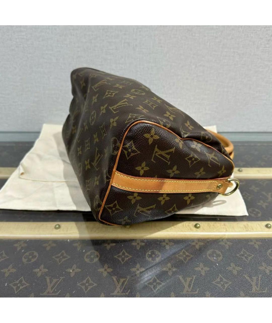 LOUIS VUITTON Коричневая кожаная сумка тоут, фото 4