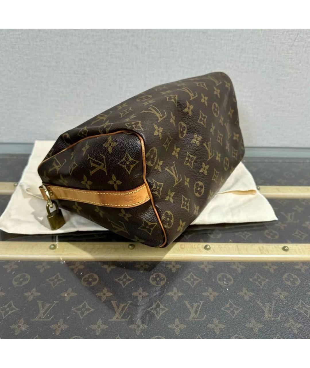 LOUIS VUITTON Коричневая кожаная сумка тоут, фото 6