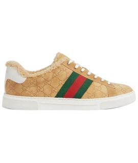 GUCCI Низкие кроссовки / кеды