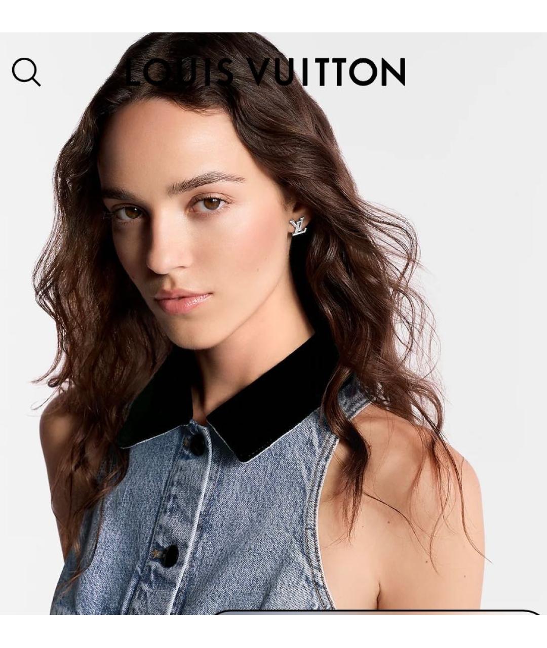 LOUIS VUITTON Серебряные металлические серьги, фото 5