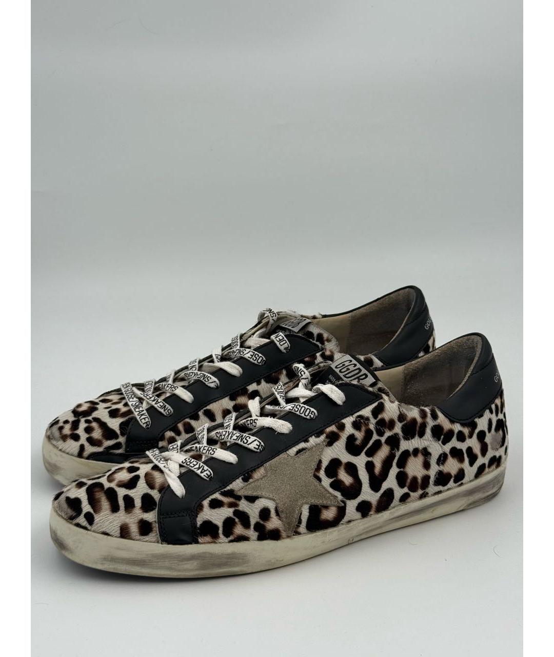 GOLDEN GOOSE DELUXE BRAND Серые низкие кроссовки / кеды, фото 4