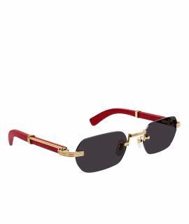 CARTIER Очки и оправы