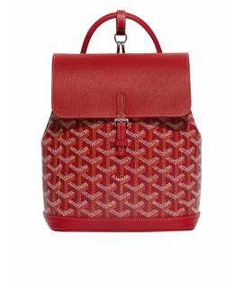 GOYARD Рюкзак