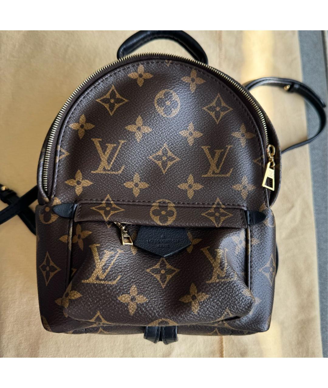 LOUIS VUITTON Коричневый рюкзак, фото 9