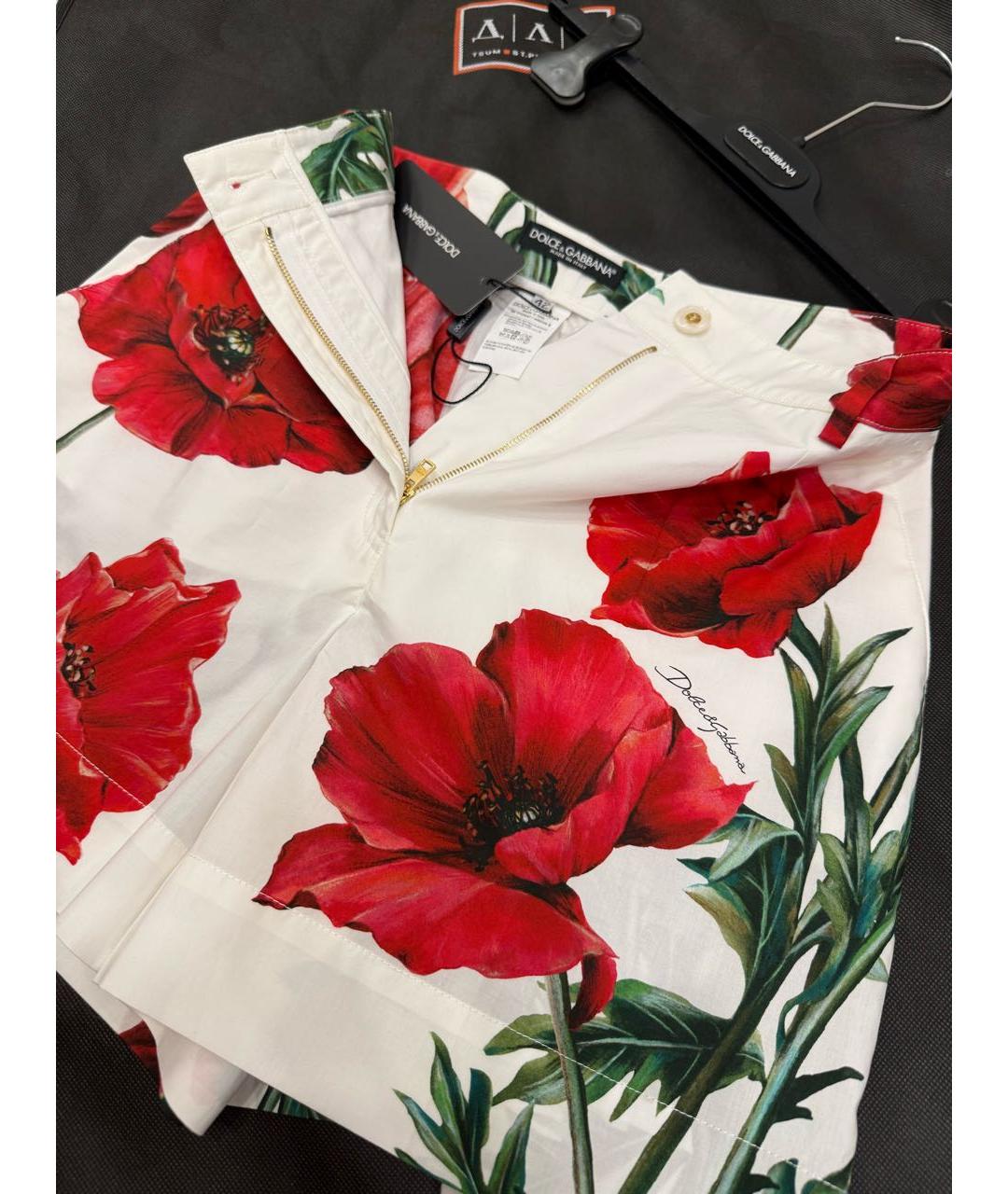 DOLCE&GABBANA Мульти хлопковые шорты, фото 5