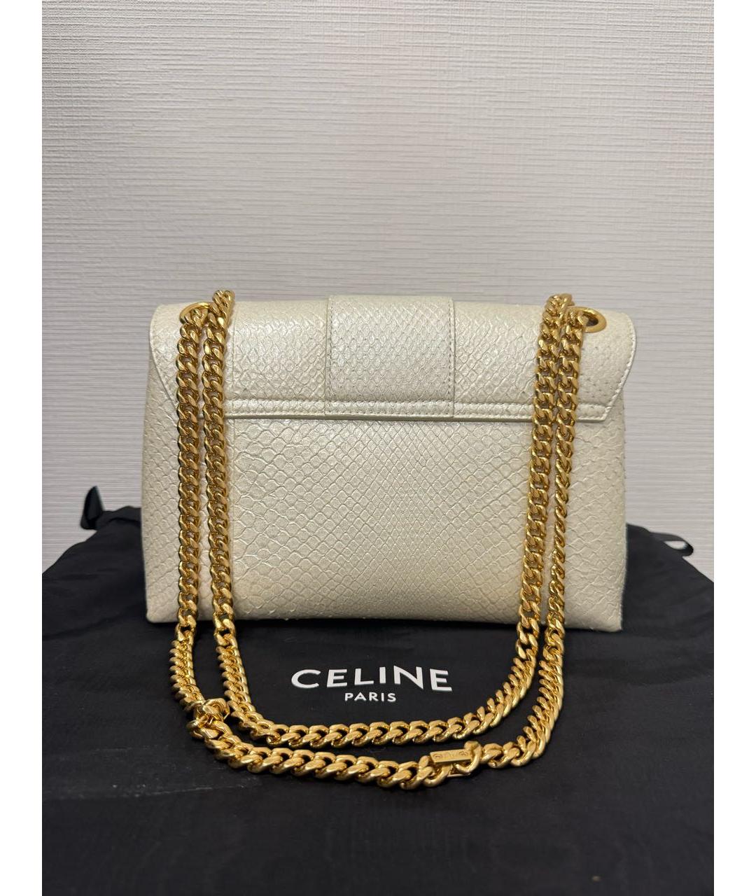 CELINE Сумка через плечо из экзотической кожи, фото 3