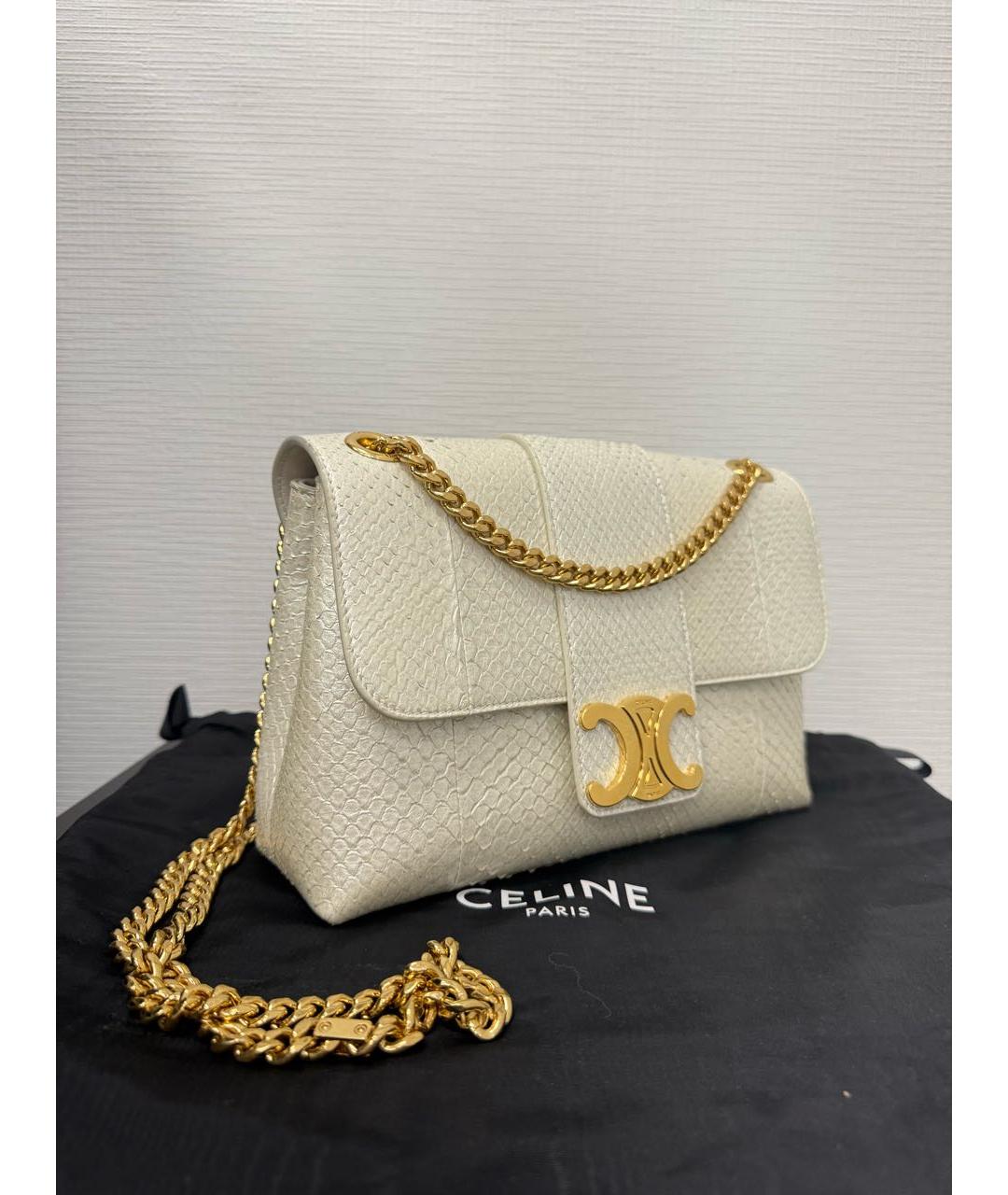 CELINE Сумка через плечо из экзотической кожи, фото 2