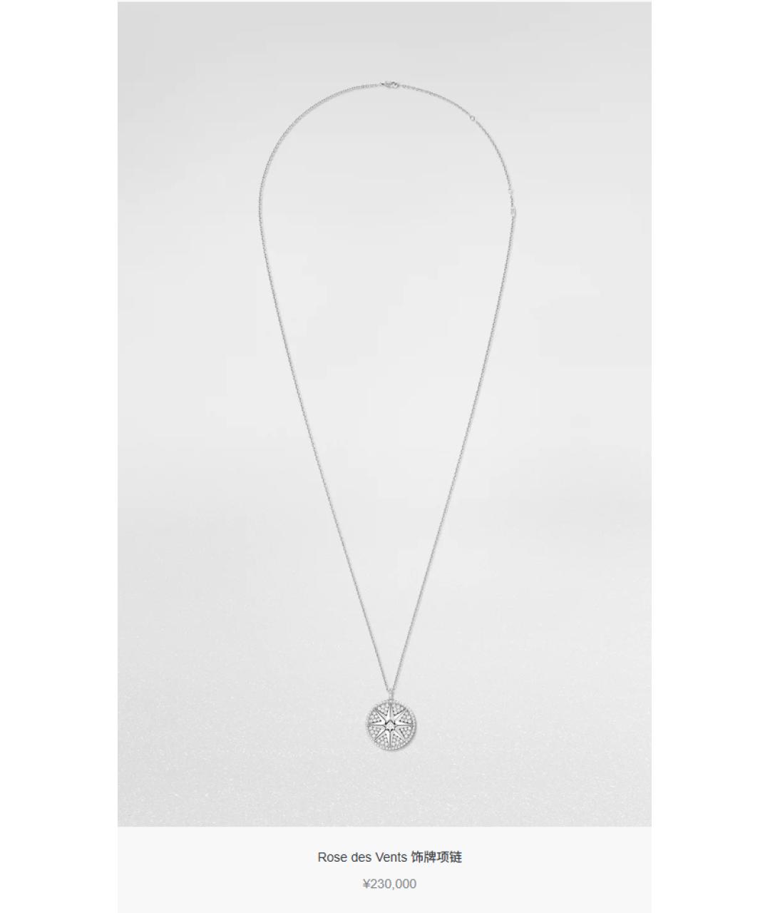 CHRISTIAN DIOR Серебряное колье из белого золота, фото 2