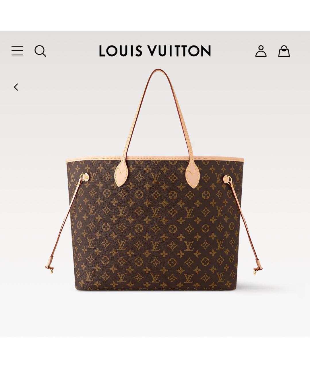 LOUIS VUITTON Коричневая сумка тоут, фото 8
