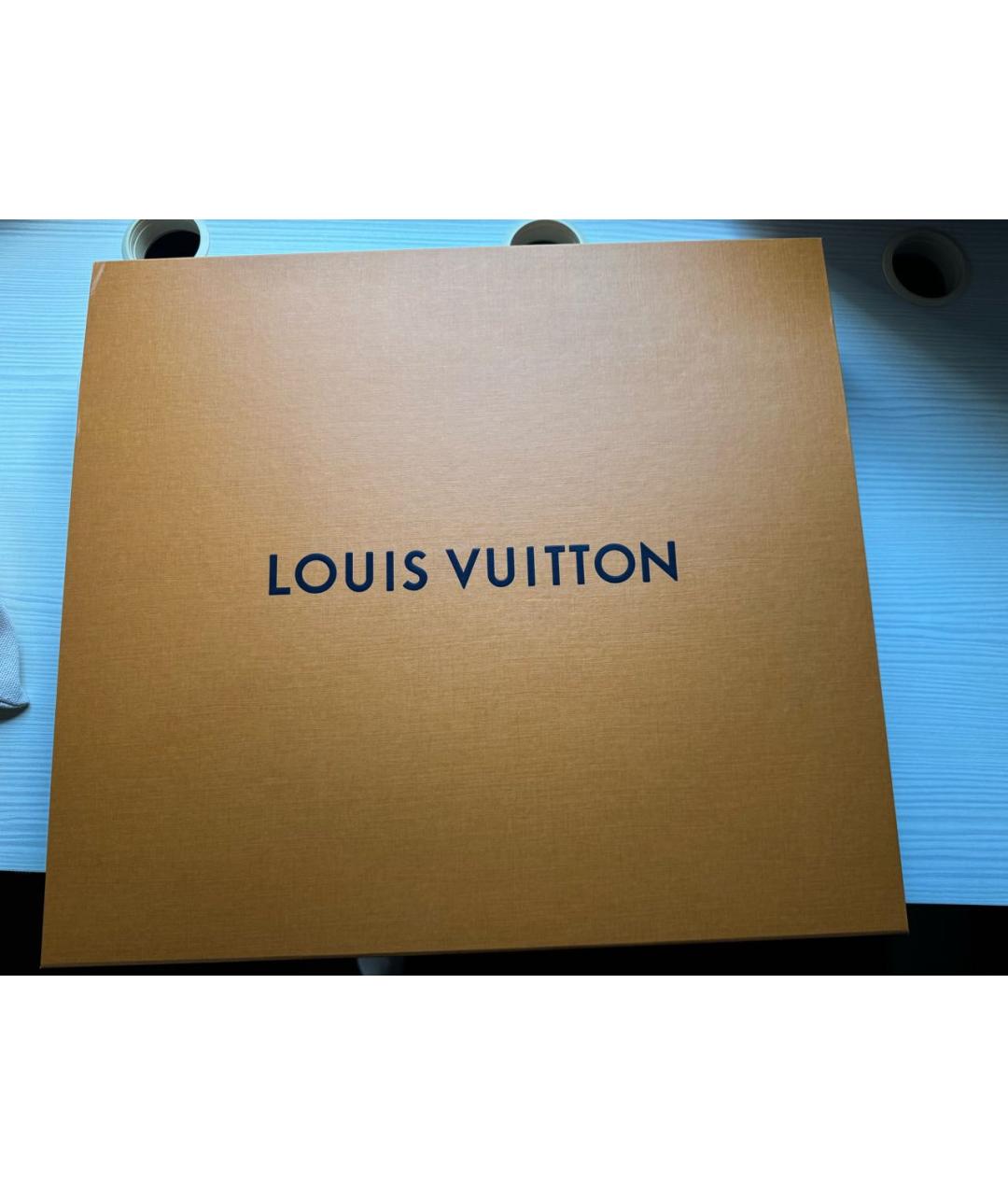 LOUIS VUITTON Коричневая сумка тоут, фото 6