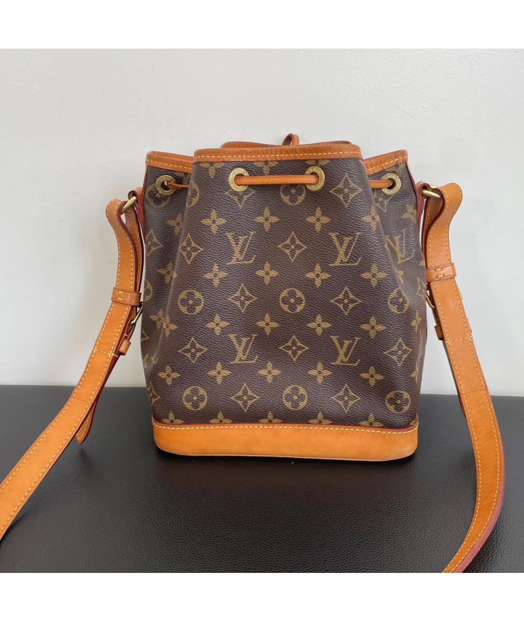 LOUIS VUITTON Коричневая сумка тоут, фото 2