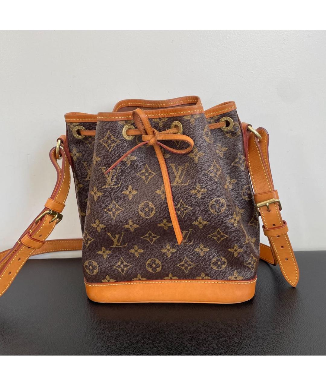 LOUIS VUITTON Коричневая сумка тоут, фото 9