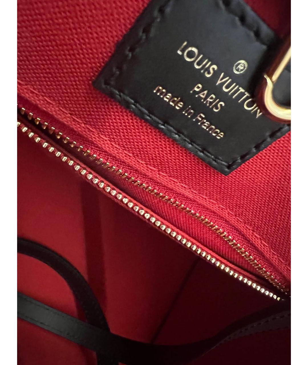 LOUIS VUITTON Коричневая сумка тоут, фото 5