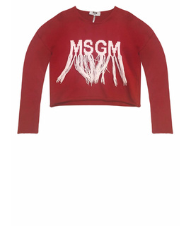 MSGM Худи/толстовка